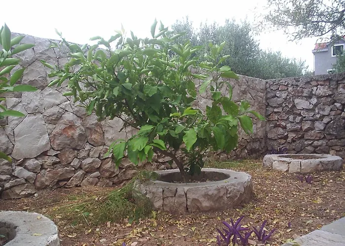 By The Sea Cove Ostricka Luka, - 24361 *